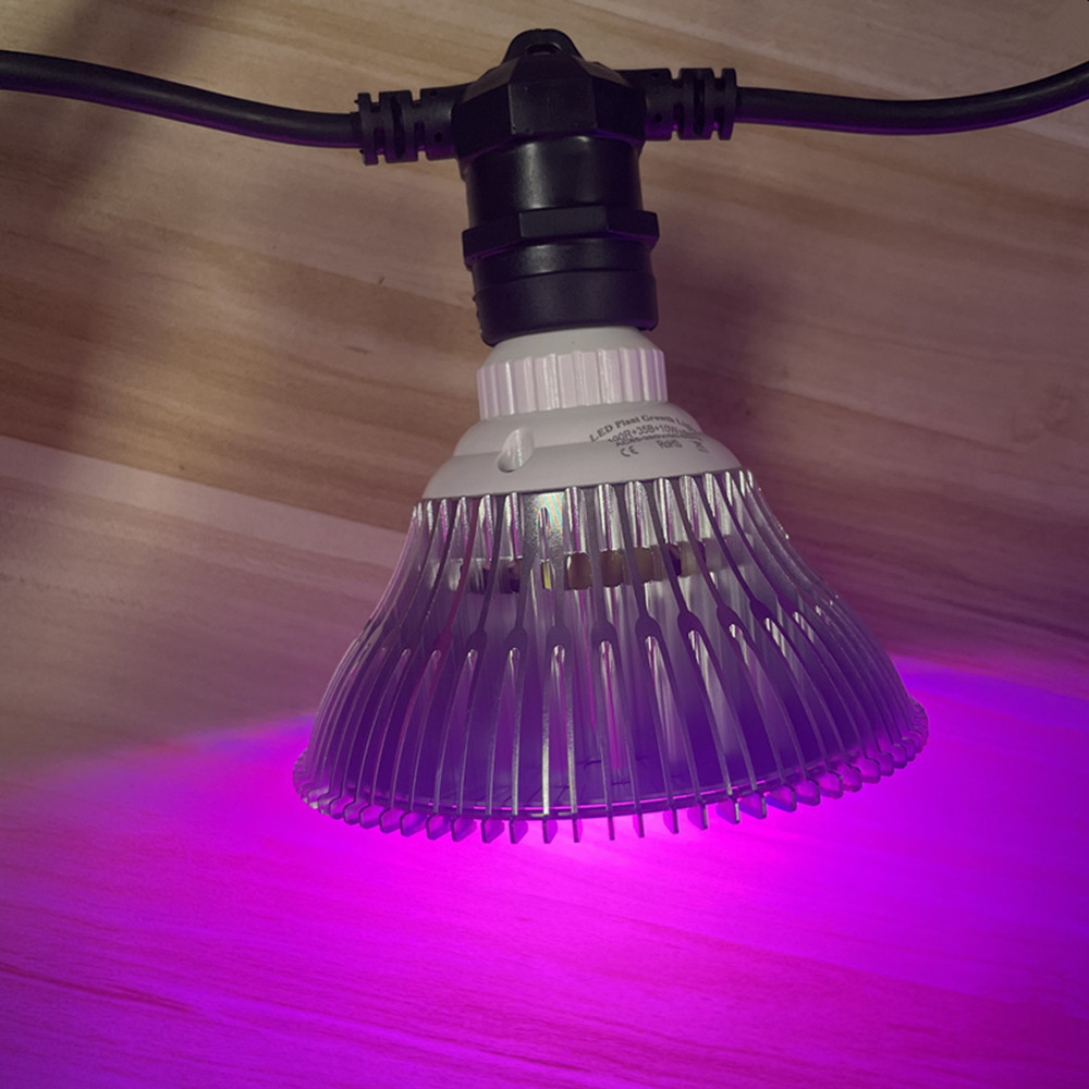 10M Cable LED String Commercia – Outdoor Power Socket Bewertung und Preis